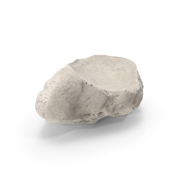 Navicular Bone PNG & PSD Images Navicular Bone PNG & PSD Images