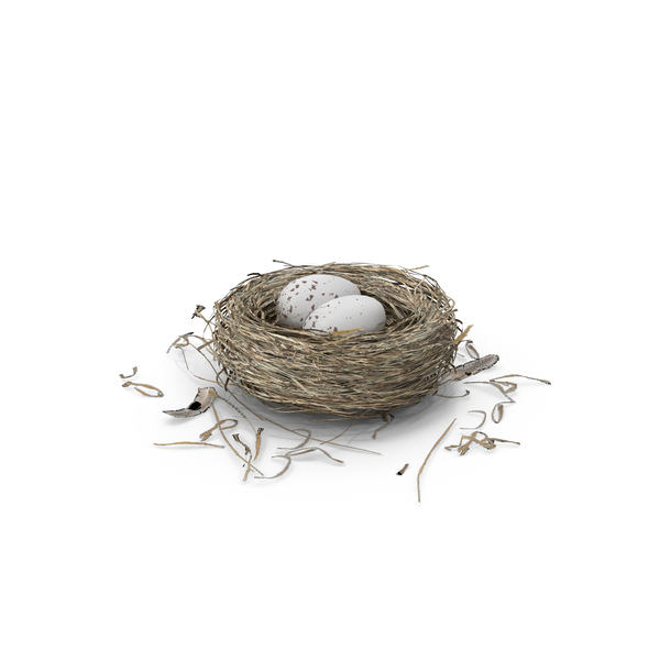 Bird: Nest PNG & PSD Images Bird: Nest PNG & PSD Images