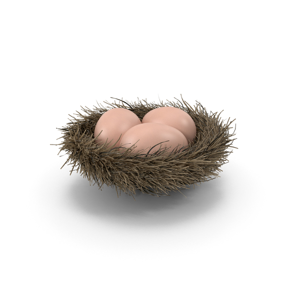 Bird: Nest With 3 Eggs PNG & PSD Images
