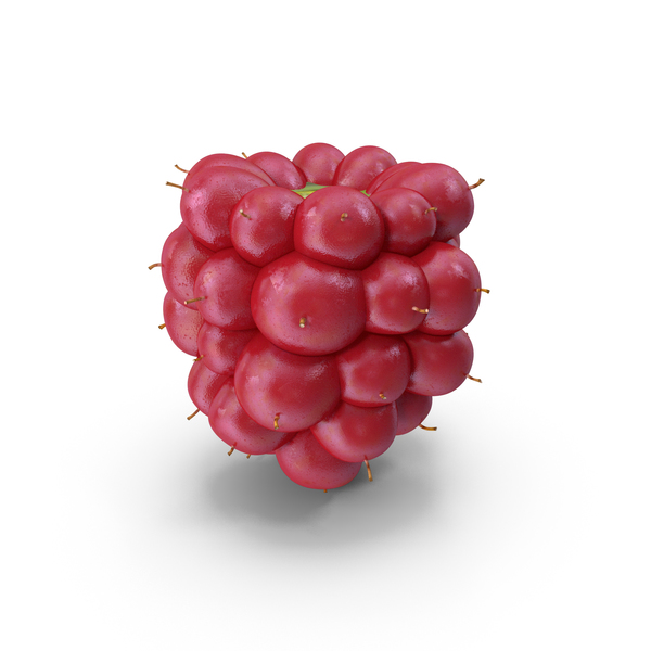 Not Ripe Berry Blackberry Fruit PNG & PSD Images