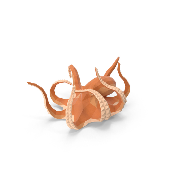 Octopus PNG & PSD Images Octopus PNG & PSD Images