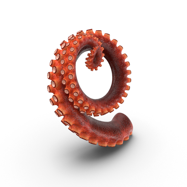 Octopus Tentacle PNG & PSD Images