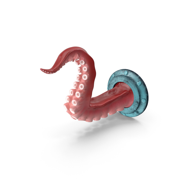 Animal Statue: Octopus Tentacle Wall Art Sculpture PNG & PSD Images Animal Statue: Octopus Tentacle Wall Art Sculpture PNG & PSD Images