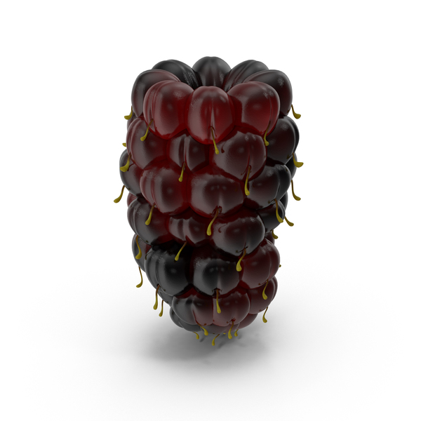 Fruit: Olallieberry PNG & PSD Images Fruit: Olallieberry PNG & PSD Images