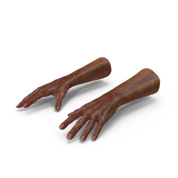 Old Mans Hand Holding Png PNG Images & PSDs for Download | PixelSquid