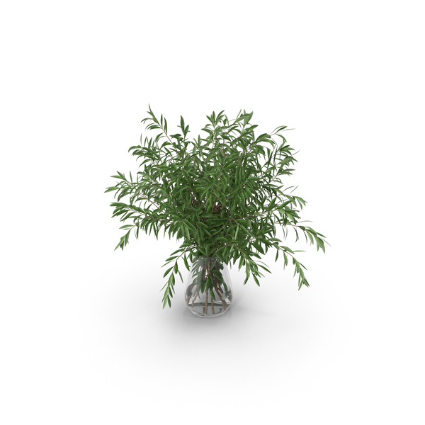 Bouquet: Olive Branches PNG & PSD Images Bouquet: Olive Branches PNG & PSD Images
