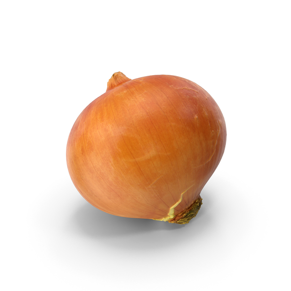 Onion PNG & PSD Images Onion PNG & PSD Images