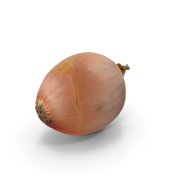 Red: Onion PNG & PSD Images Red: Onion PNG & PSD Images