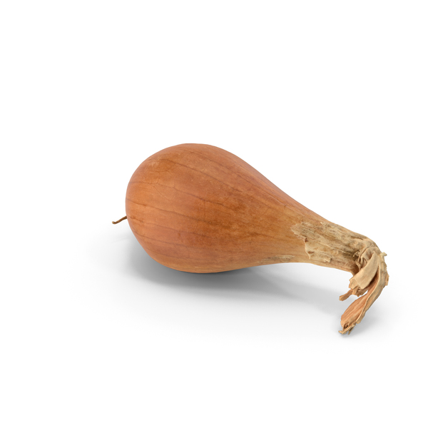 Onion PNG & PSD Images Onion PNG & PSD Images