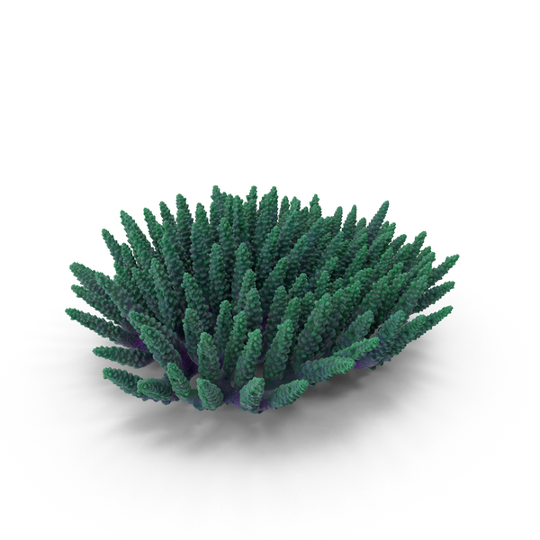 Coral Reef: Сoral 08 green PNG & PSD Images Coral Reef: Сoral 08 green PNG & PSD Images