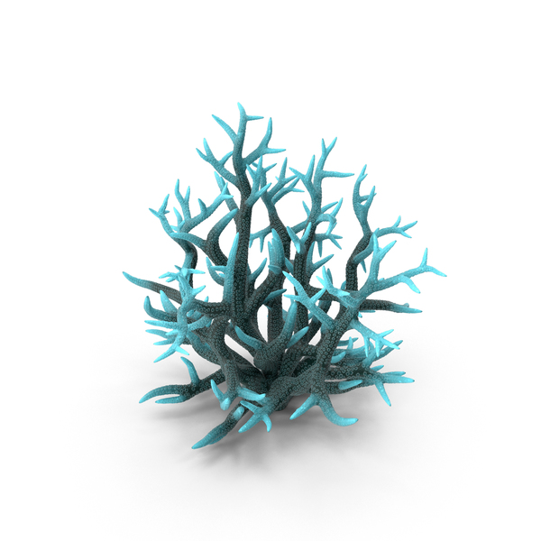 Сoral Coral Reef: Сoral Blue PNG & PSD Images Сoral Coral Reef: Сoral Blue PNG & PSD Images