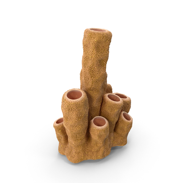 Reef: Orange Coral Tubes PNG & PSD Images Reef: Orange Coral Tubes PNG & PSD Images