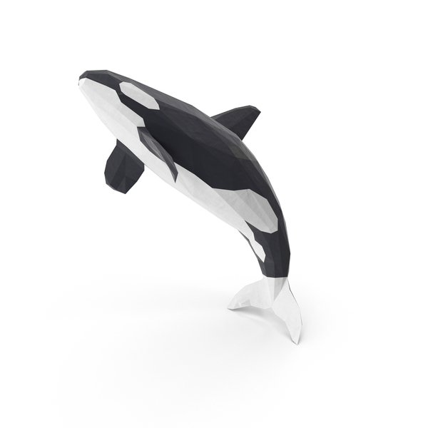 Killer: Orca Whale PNG & PSD Images