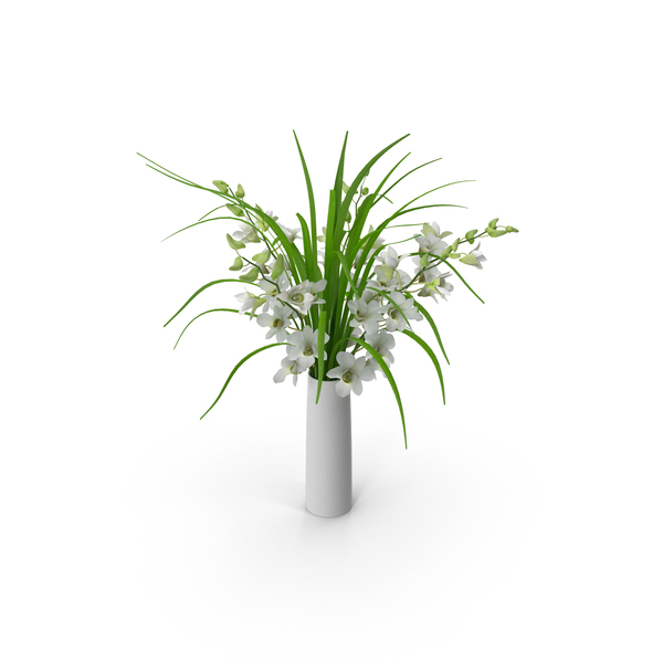 Orchid Flower Dentrobium White Glass Vase PNG & PSD Images Orchid Flower Dentrobium White Glass Vase PNG & PSD Images