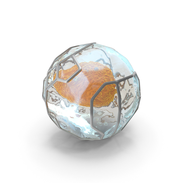 Capsule Pill: Organic Cell PNG & PSD Images Capsule Pill: Organic Cell PNG & PSD Images