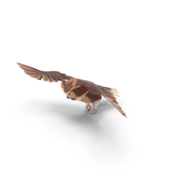 Owl PNG & PSD Images Owl PNG & PSD Images