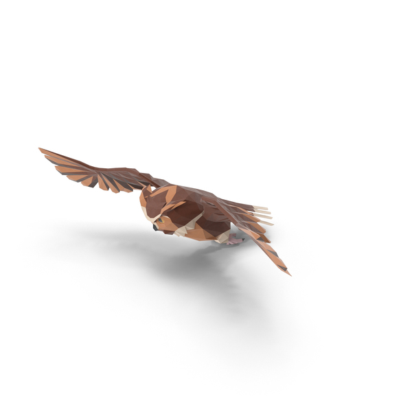 Owl PNG & PSD Images Owl PNG & PSD Images