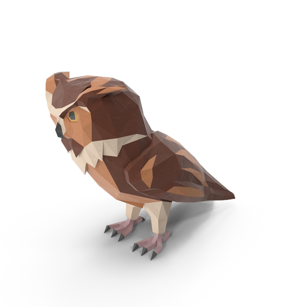 Owl PNG & PSD Images Owl PNG & PSD Images