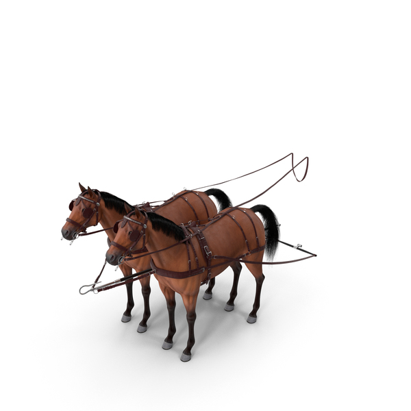 Saddled Horse: Pair of Breast Collar Harness Fur PNG & PSD Images Saddled Horse: Pair of Breast Collar Harness Fur PNG & PSD Images