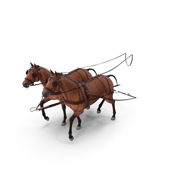 Saddled Horse: Pair of Breast Collar Harness Walking Pose PNG & PSD Images Saddled Horse: Pair of Breast Collar Harness Walking Pose PNG & PSD Images