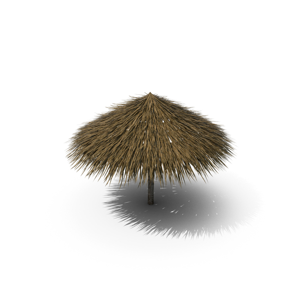 Patio: Palm Beach Umbrella PNG & PSD Images