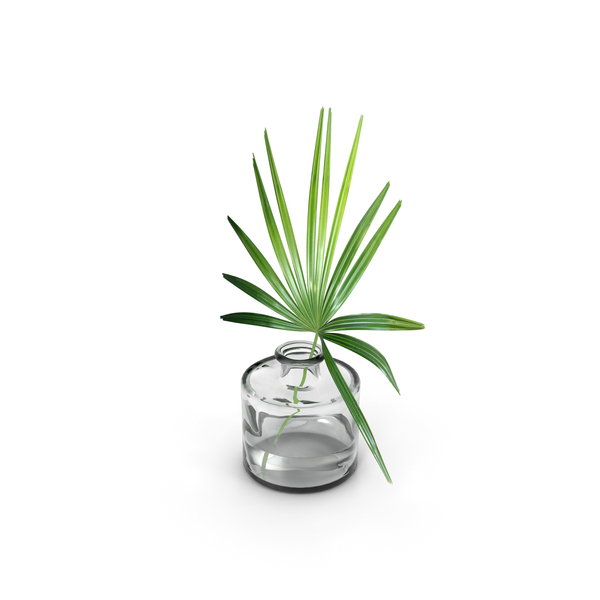 Vase: Palm Leaf PNG & PSD Images Vase: Palm Leaf PNG & PSD Images