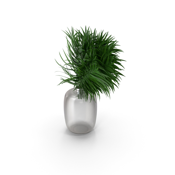Flower Pot: Palm Leaves PNG & PSD Images