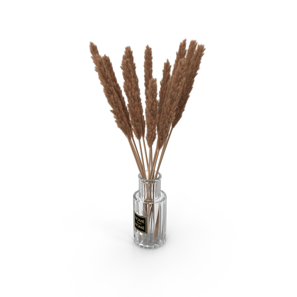 Bouquet: Pampas Grass PNG & PSD Images Bouquet: Pampas Grass PNG & PSD Images