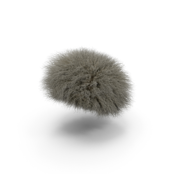 Papakha Caucasian Hat White Fur PNG & PSD Images Papakha Caucasian Hat White Fur PNG & PSD Images