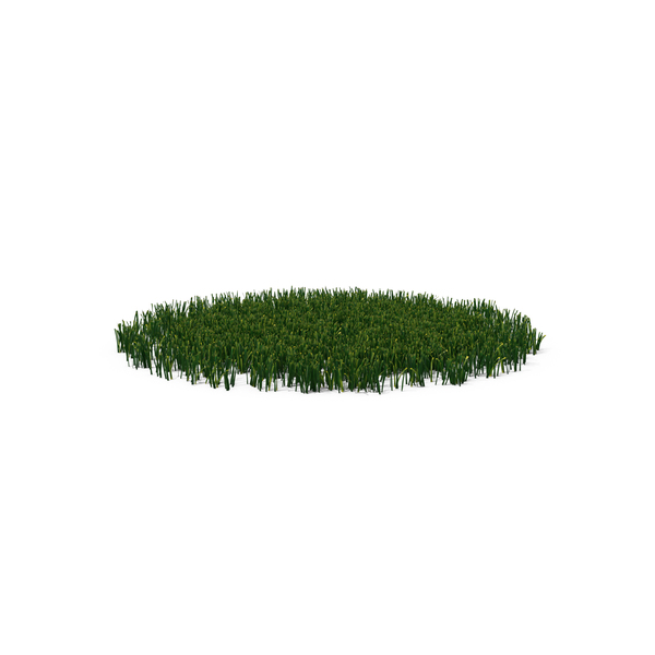 Grasses: Patch of Grass PNG & PSD Images Grasses: Patch of Grass PNG & PSD Images