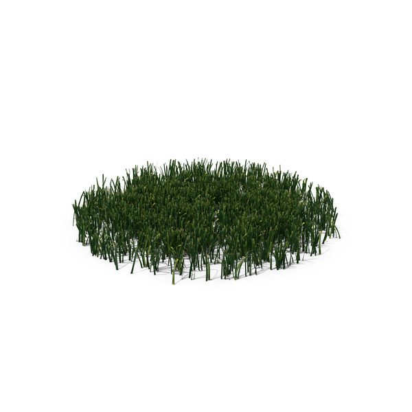 Patch of Grass PNG Images & PSDs for Download | PixelSquid - S105964203