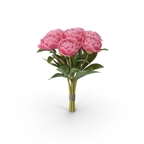 Peony Bouquet PNG & PSD Images