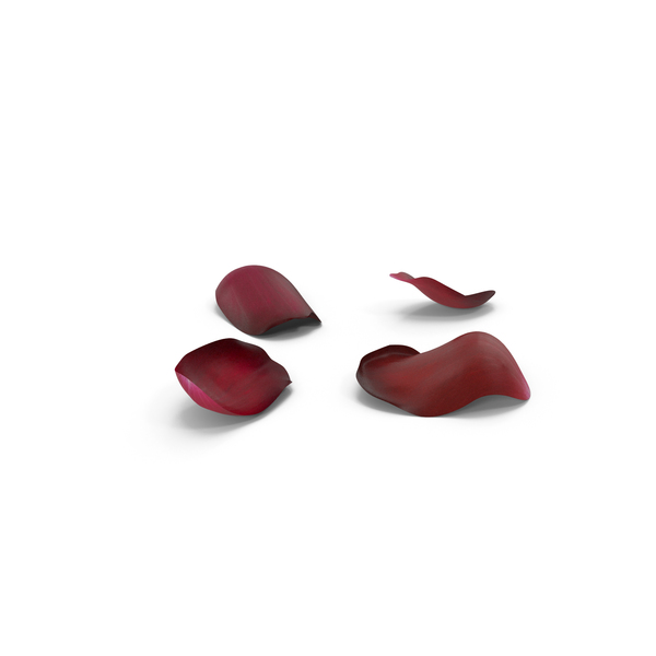 Petal: Petals PNG & PSD Images Petal: Petals PNG & PSD Images