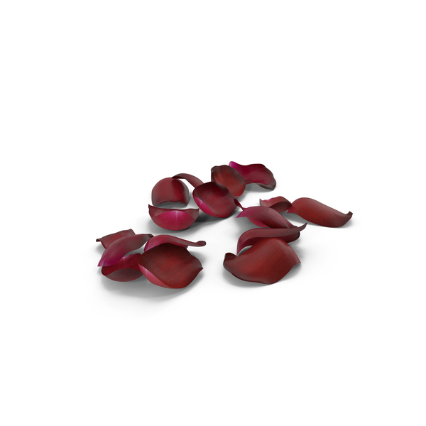 Version Petal: Flower Petals PNG & PSD Images Version Petal: Flower Petals PNG & PSD Images