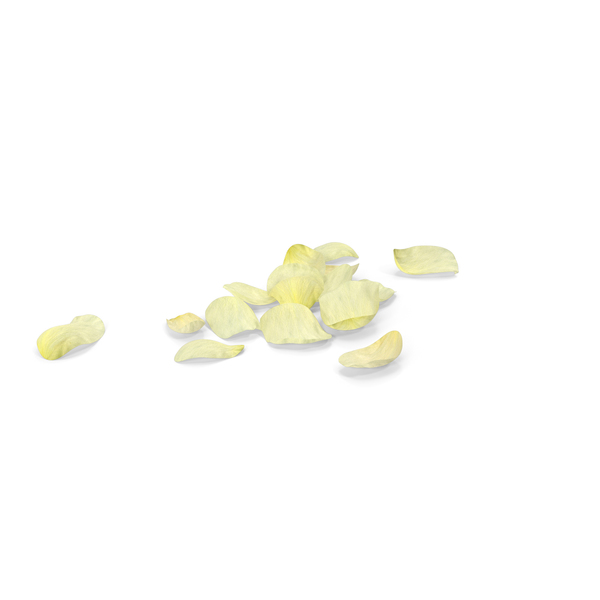 Petal: Petals White Version PNG & PSD Images Petal: Petals White Version PNG & PSD Images