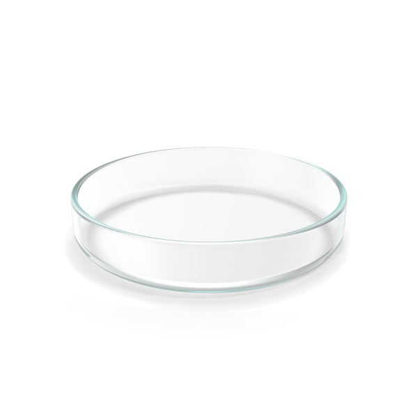Petri Dish PNG & PSD Images Petri Dish PNG & PSD Images
