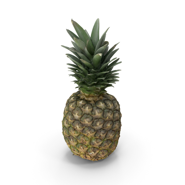 Pineapple PNG Images & PSDs for Download | PixelSquid - S11347323E