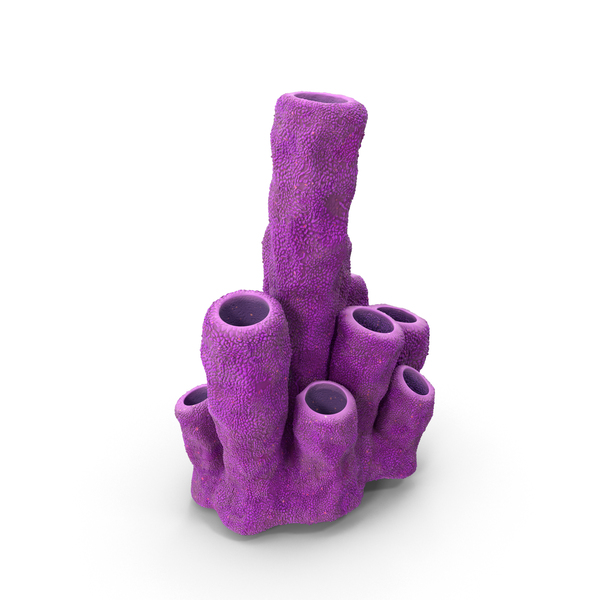 Reef: Pink Coral Tubes PNG & PSD Images Reef: Pink Coral Tubes PNG & PSD Images
