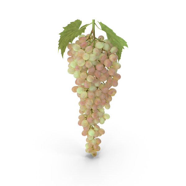 Pink Sultana Grape Cluster PNG & PSD Images Pink Sultana Grape Cluster PNG & PSD Images
