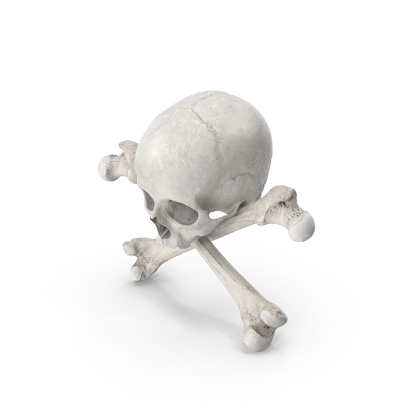 Flag: Pirate Skull and Bones Composition White PNG & PSD Images Flag: Pirate Skull and Bones Composition White PNG & PSD Images