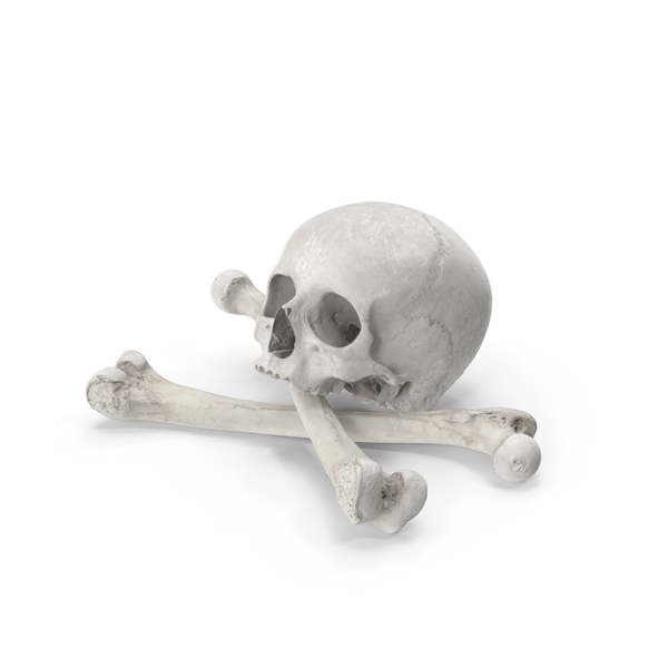 Flag: Pirate Skull and Bones Composition White PNG & PSD Images Flag: Pirate Skull and Bones Composition White PNG & PSD Images