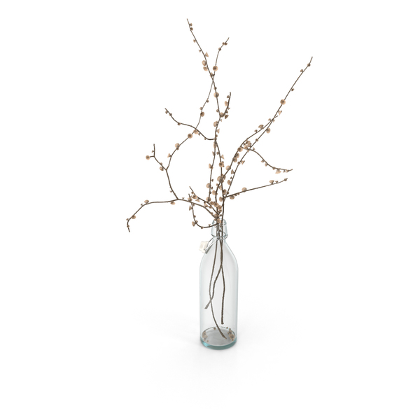 Vase: Plant in Bottle PNG & PSD Images Vase: Plant in Bottle PNG & PSD Images