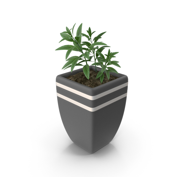 Flower Pot Support: Plant In Plot PNG & PSD Images Flower Pot Support: Plant In Plot PNG & PSD Images