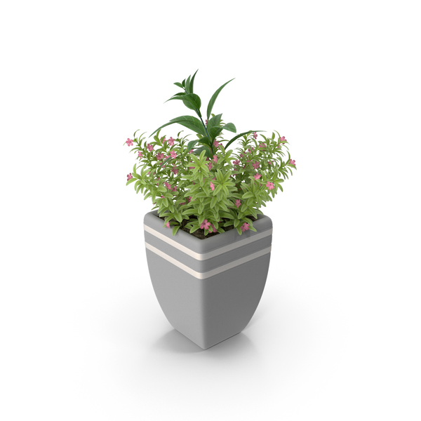 Flower Support: Plant in Pot PNG & PSD Images Flower Support: Plant in Pot PNG & PSD Images
