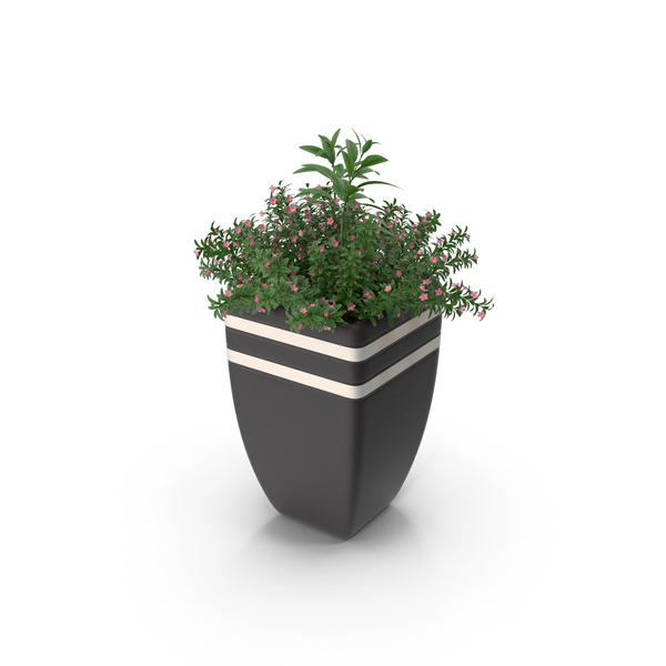 Planter: Plant In Pot PNG & PSD Images Planter: Plant In Pot PNG & PSD Images