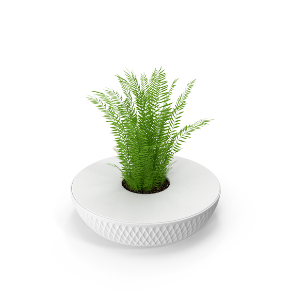 Flower Pot: Plant Planted In The Bench PNG & PSD Images Flower Pot: Plant Planted In The Bench PNG & PSD Images