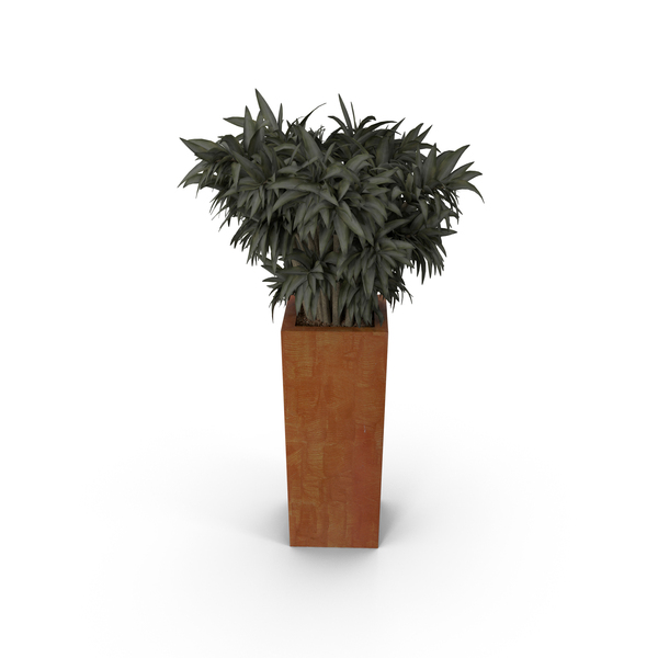 Plants Collection PNG & PSD Images Plants Collection PNG & PSD Images