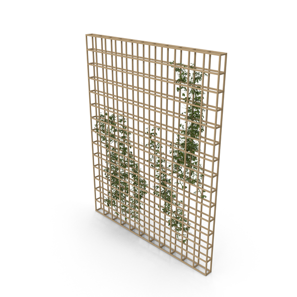 Plants On Wooden Shelf - Wall PNG & PSD Images Plants On Wooden Shelf - Wall PNG & PSD Images