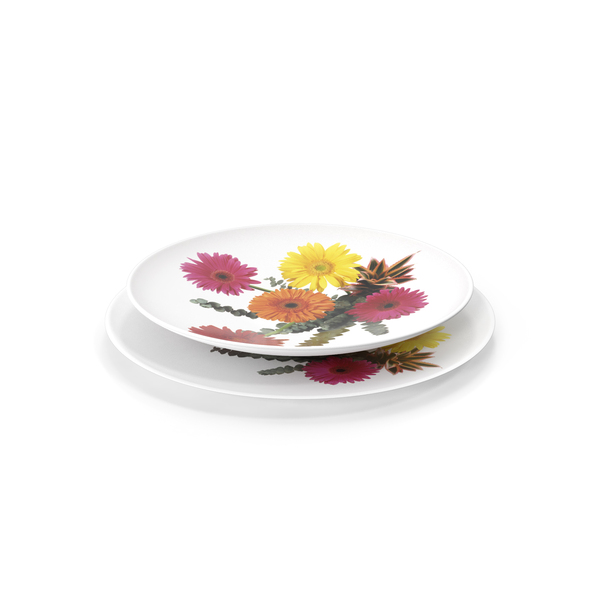 Plate PNG & PSD Images