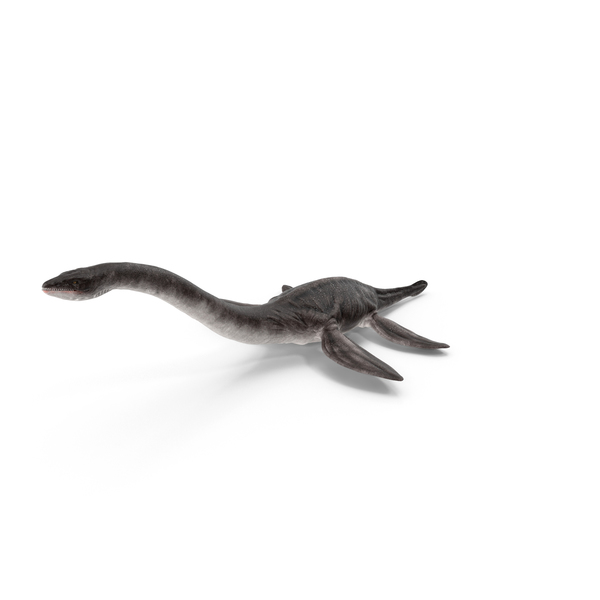 Plesiosaur PNG & PSD Images Plesiosaur PNG & PSD Images